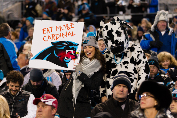 Carolina Panthers beat Arizona Cardinals in NFC Championship, advance to Super Bowl